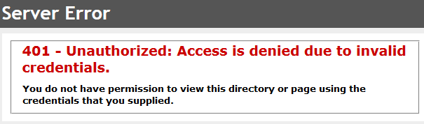 401 Unauthorized Error