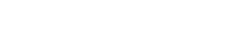 BelugaCDN logo